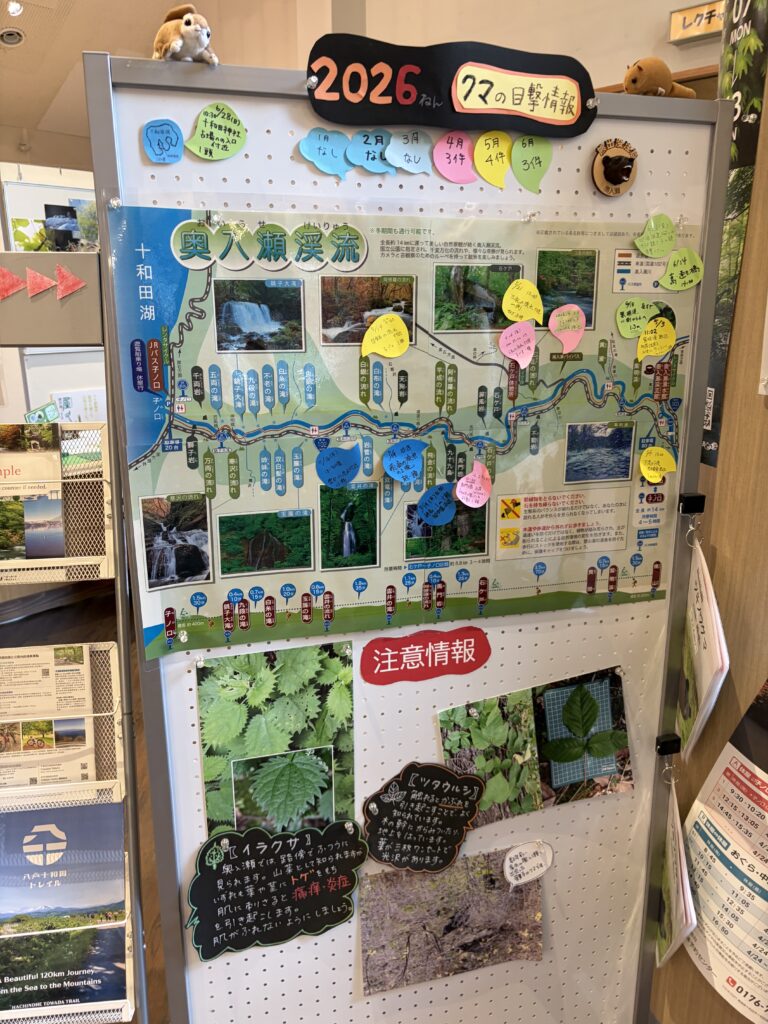 奥入瀬渓流館にあるクマ目撃情報