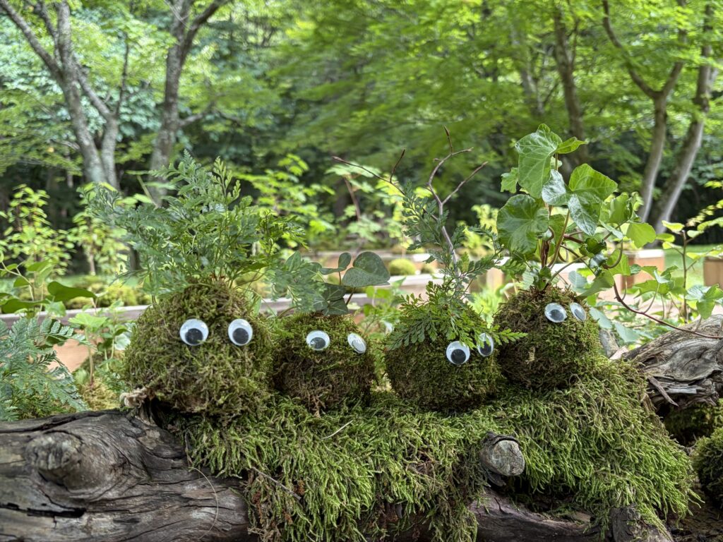 奥入瀬渓流ホテルにいる苔玉