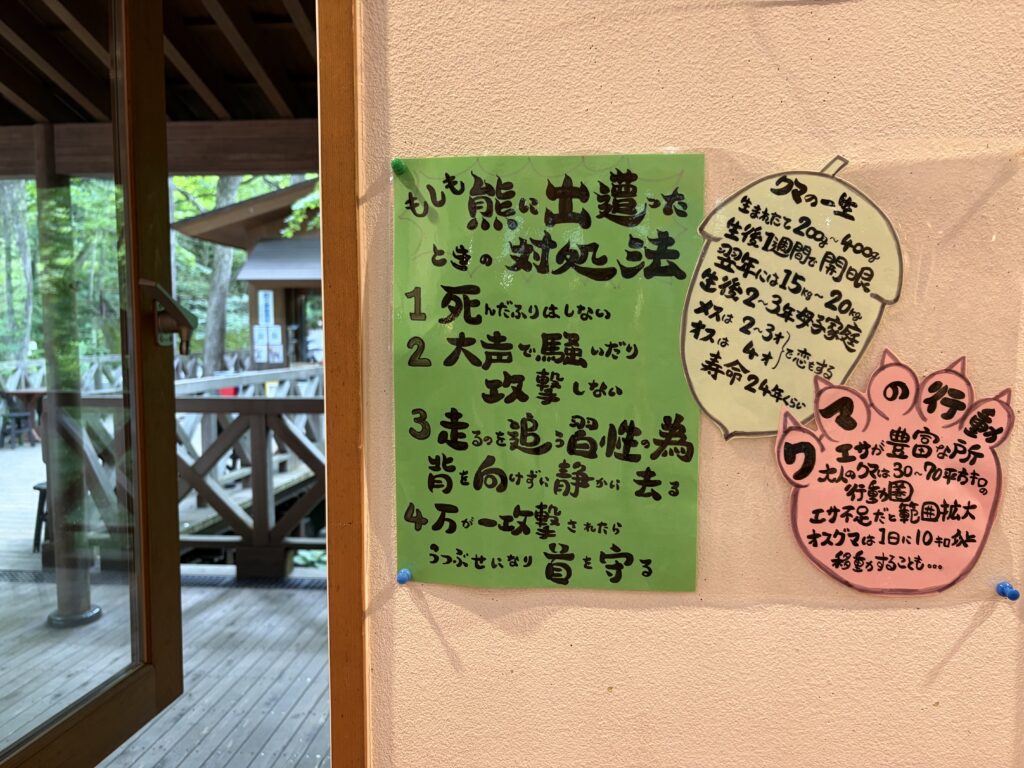 石ヶ戸休憩所の熊に出会った時の対処法