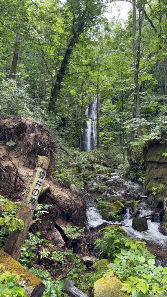 奥入瀬渓流の雲井の滝